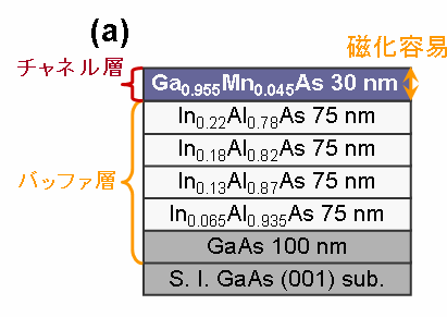 http://www.ohno.riec.tohoku.ac.jp/japanese/overview-file/j_CIDWM3/device2j.png