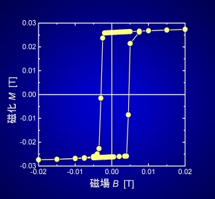 magnetizationmini.jpg (37179 oCg)